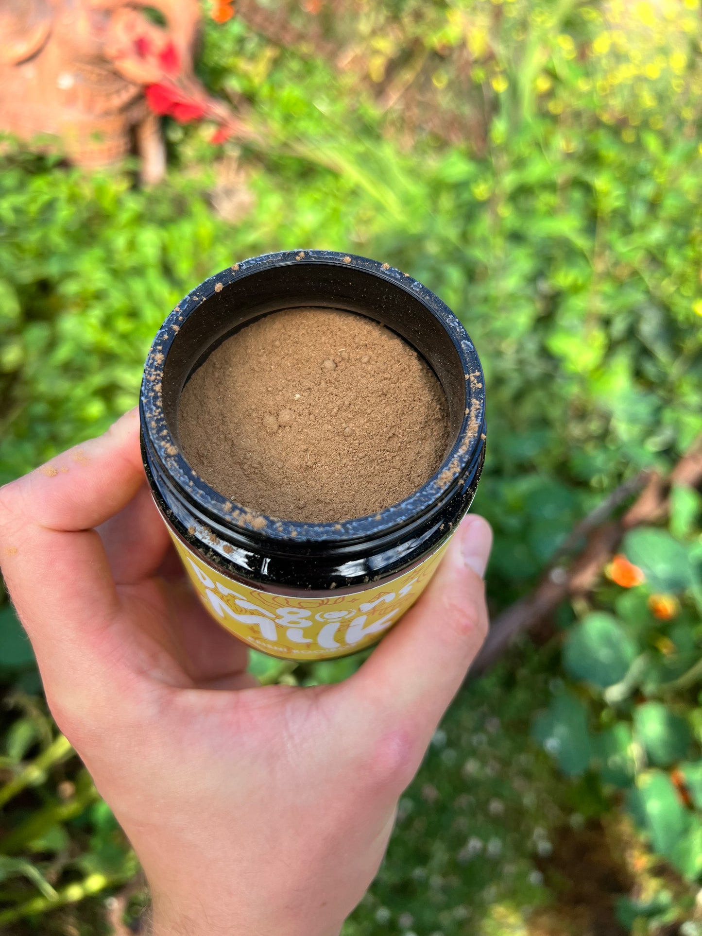 Reishi Rooibos Dragons Milk